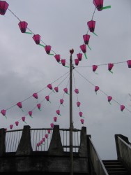IMG_3176.JPG