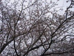 IMG_3178.JPG