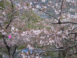 IMG_3179.JPG