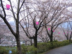 IMG_3184.JPG