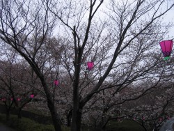 IMG_3185.JPG