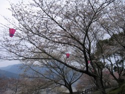 IMG_3186.JPG