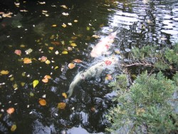 IMG_3211.JPG