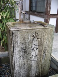 IMG_3219.JPG