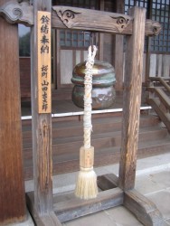 IMG_3223.JPG