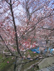 IMG_3267.JPG