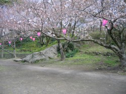 IMG_3272.JPG
