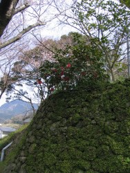 IMG_3273.JPG