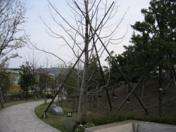 IMG_3298.JPG