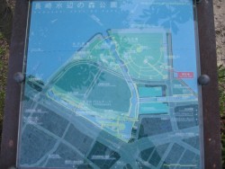 IMG_3299.JPG
