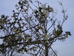 IMG_3310.JPG