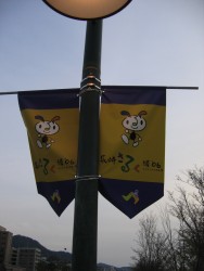 IMG_3338.JPG