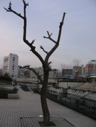 IMG_3350.JPG