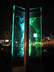 IMG_3393.JPG