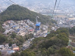 IMG_3456.JPG