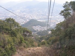 IMG_3464.JPG