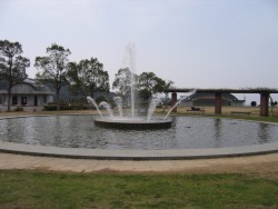 IMG_3488.JPG