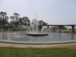 IMG_3489.JPG