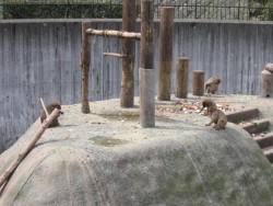 IMG_3527.JPG