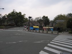 IMG_3793.JPG