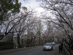 IMG_3800.JPG