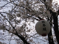 IMG_3801.JPG