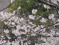IMG_3803.JPG