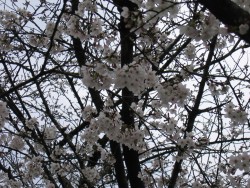 IMG_3805.JPG