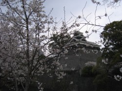 IMG_3806.JPG