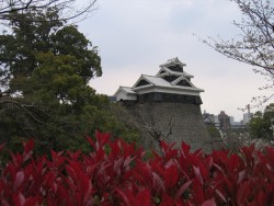 IMG_3807.JPG