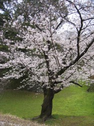IMG_3811.JPG