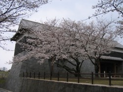 IMG_3813.JPG