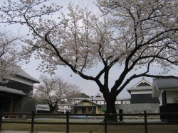 IMG_3814.JPG
