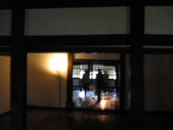 IMG_3823.JPG