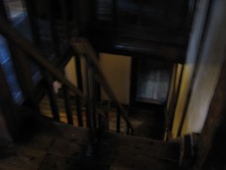 IMG_3828.JPG