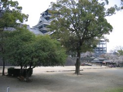 IMG_3835.JPG
