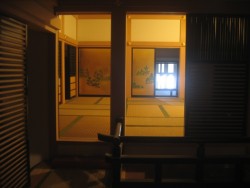 IMG_3861.JPG