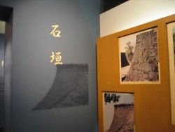 IMG_3864.JPG