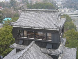 IMG_3879.JPG