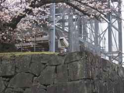 IMG_3883.JPG