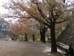 IMG_3885.JPG