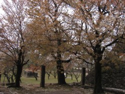IMG_3886.JPG