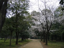 IMG_3898.JPG