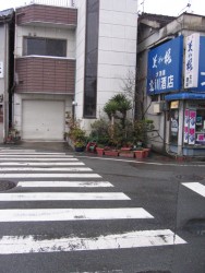 IMG_3939.JPG