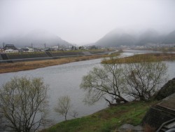 IMG_3942.JPG