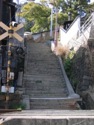 IMG_3992.JPG