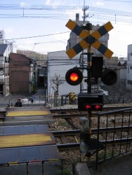 IMG_3995.JPG