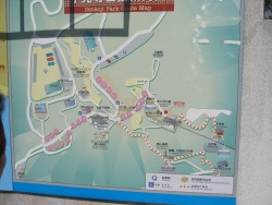 IMG_4010.JPG