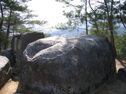 IMG_4012.JPG