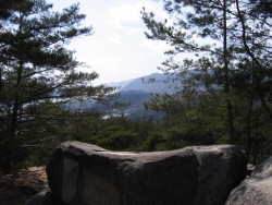 IMG_4013.JPG